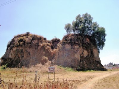 Ãrbol en Cholula, Puebla.