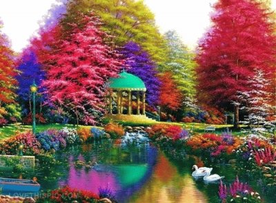 colorful flower garden