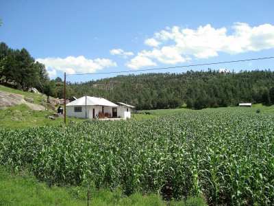 TÃ­pica casa en la Sierra Tarahumara, Chih.