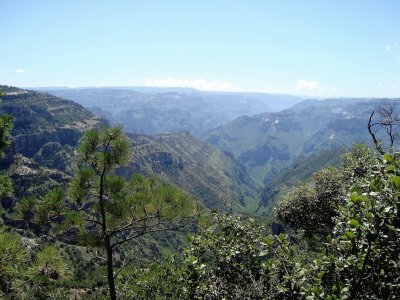 Barrancas del Cobre, Chihuahua.