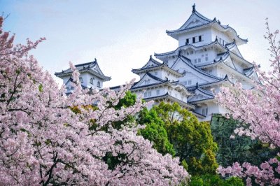 Japon arbres en fleurs et chÃ¢teau