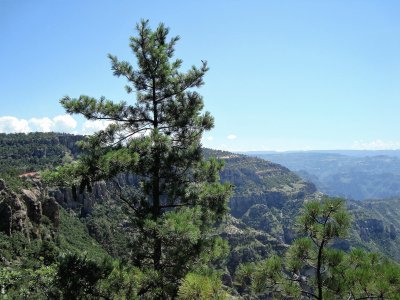 Barrancas del Cobre, MÃ©xico.