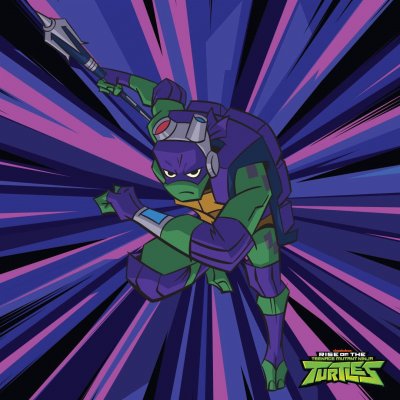 Rise of the TMNT Donnie