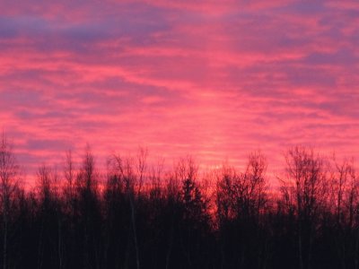 Fiery winter sunrise