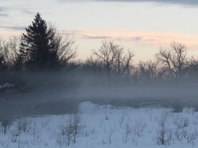 Fog on a snowy morning!   'magine that!