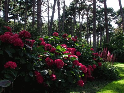 parc floral Vincennes