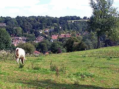 Above Little Eaton