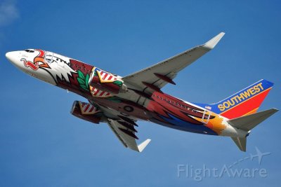 Southwest Boeing 737 700 Estados Unidos