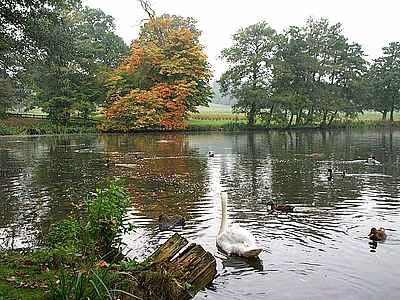 Locko Park Lake