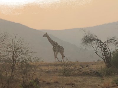 Pilanesberg-South Africa