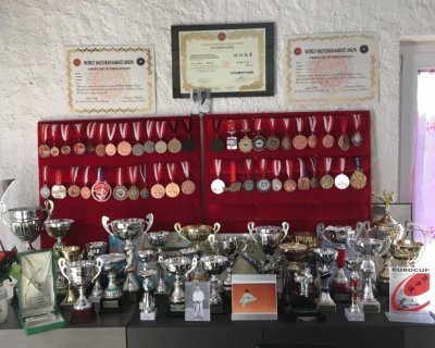 Trofeos de Karate