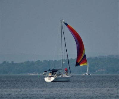 Sailboat