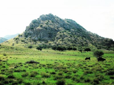 CampiÃ±a norteÃ±a, MÃ©xico.