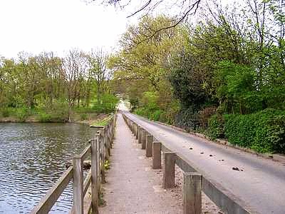 Shipley lane, Mapperley