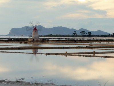 TRAPANI Saline