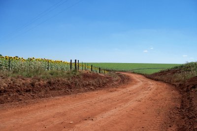 Estrada de barro