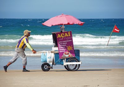 aÃ§aÃ­ na tigela