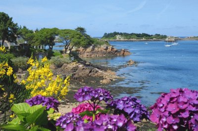 mer et fleurs