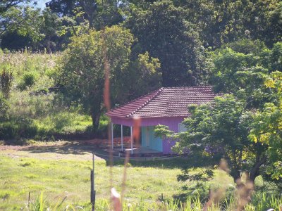 casa entre Ã¡rvores