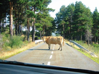 en la carretera