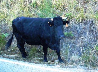 en la carretera