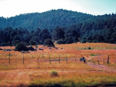 Sierra Tarahumara, Chihuahua.