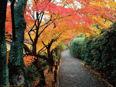 Kyoto, Japan autumn colors