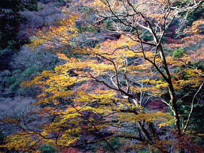 Osaka, Japan Mino park