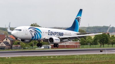 EgyptAir Boeing 737-800 Egipto jigsaw puzzle