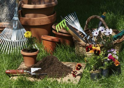 Lawn and Garden Tools-Still Life