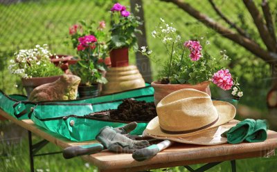 Gardening Table