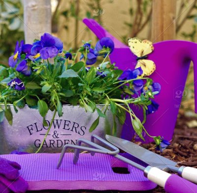 Gardening Tools and Pansies