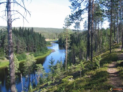 riviÃ¨re et forÃªt Finlande