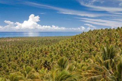 Praia do Gunga - Alagoas - Brazil