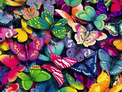 mariposas