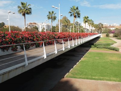 puente de las flores-valencia