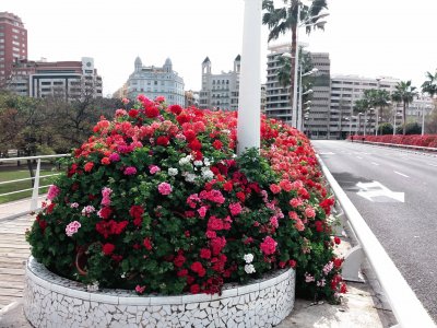 puente de las flores-valencia