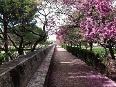 paseo cauce del turia