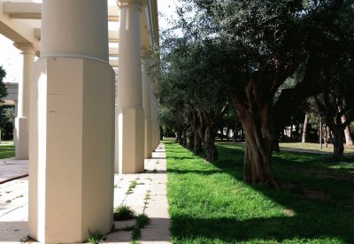 jardines junto al palau de la musica