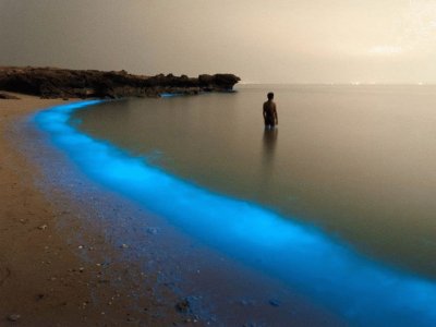 PLAYAS GOLFO PERSICO, IRAN