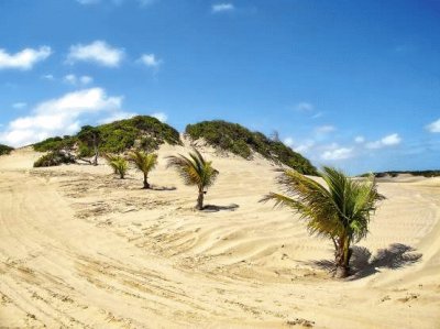 Dunas de Genipabu - BRAZIL