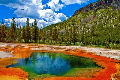 Yellowstone USA