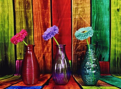 Colorful Glass Vases and Flowers-Still Life