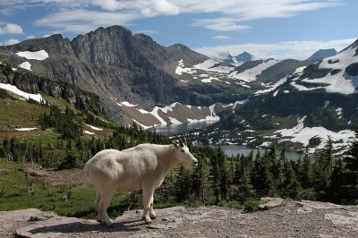 Glacier National Park