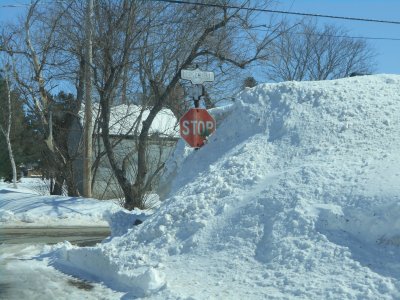 Snow as high as the stop sign!    L