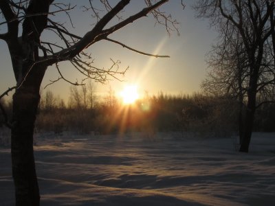 Winter sunrise across field