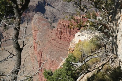 Grand Canyon  AZ