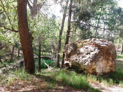 pantano de arroyofrio