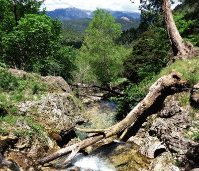 nacimiento rio mundo