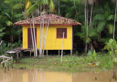 AmazÃ´nia 1